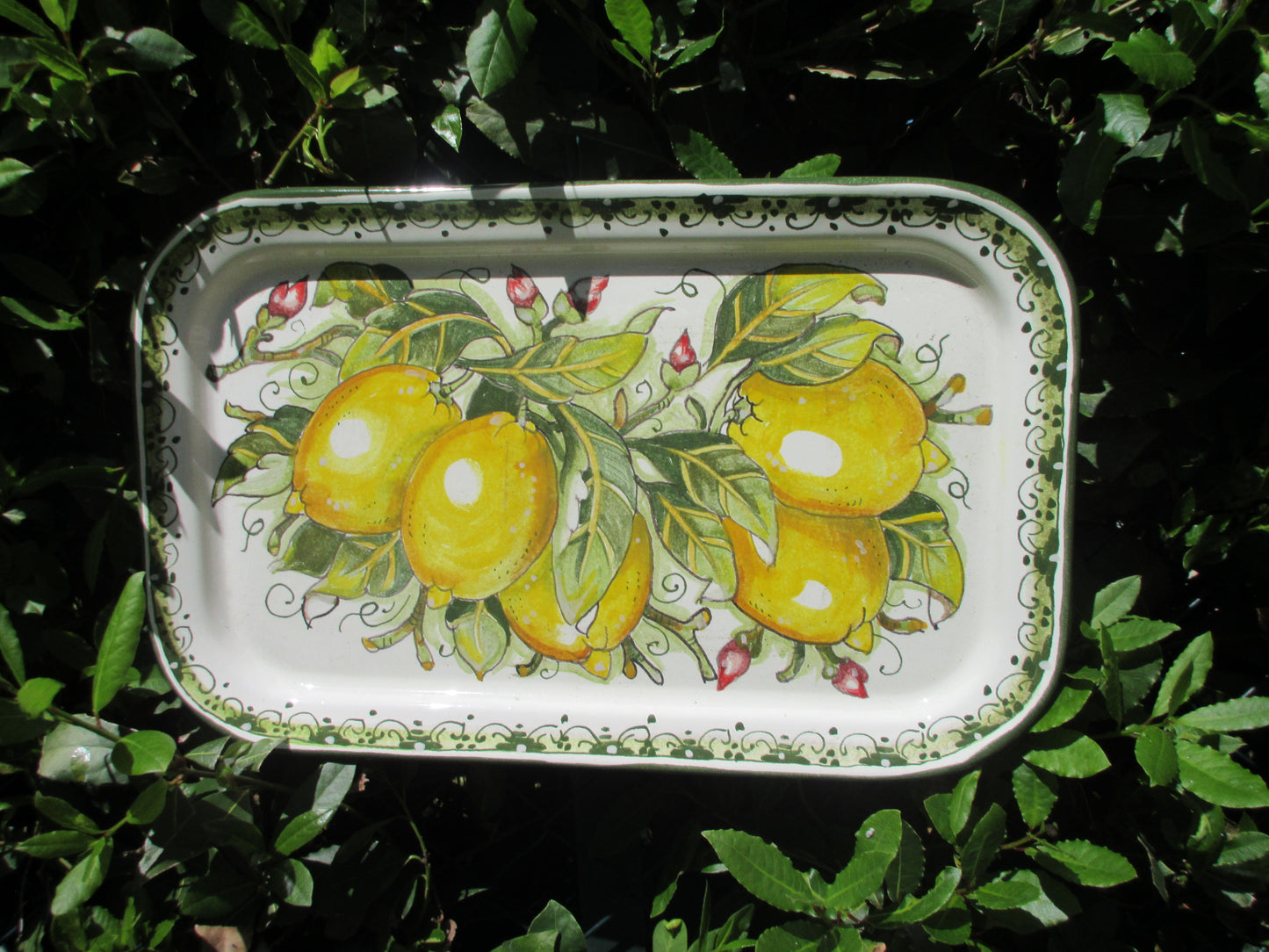 ceramic rectangular platter