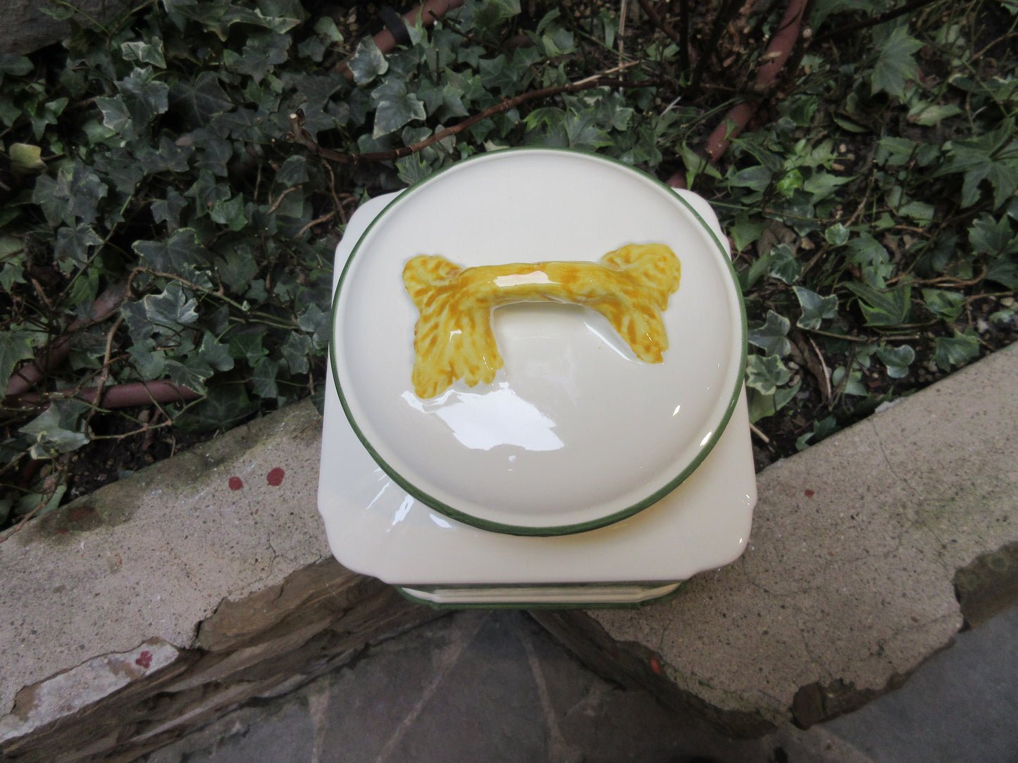 Barattolo per biscotti in ceramica